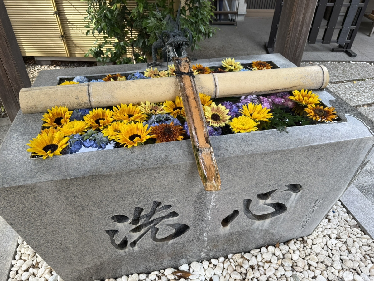 洗心